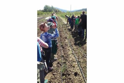 Logan School Garden Lines
