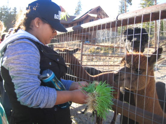 sps-5-2_10-22-23-16_53