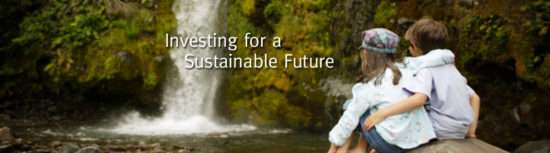 Sustainable Investing