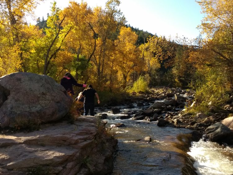 10 Job Search Sites to Help You Find an Environmental, Outdoor, or Nonprofit Job