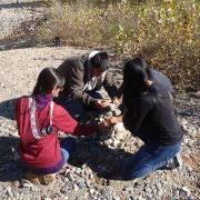 STRIVE RISE Overnight #4