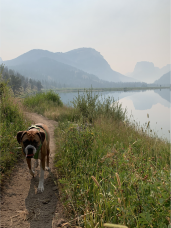 Program Director Katie Vega