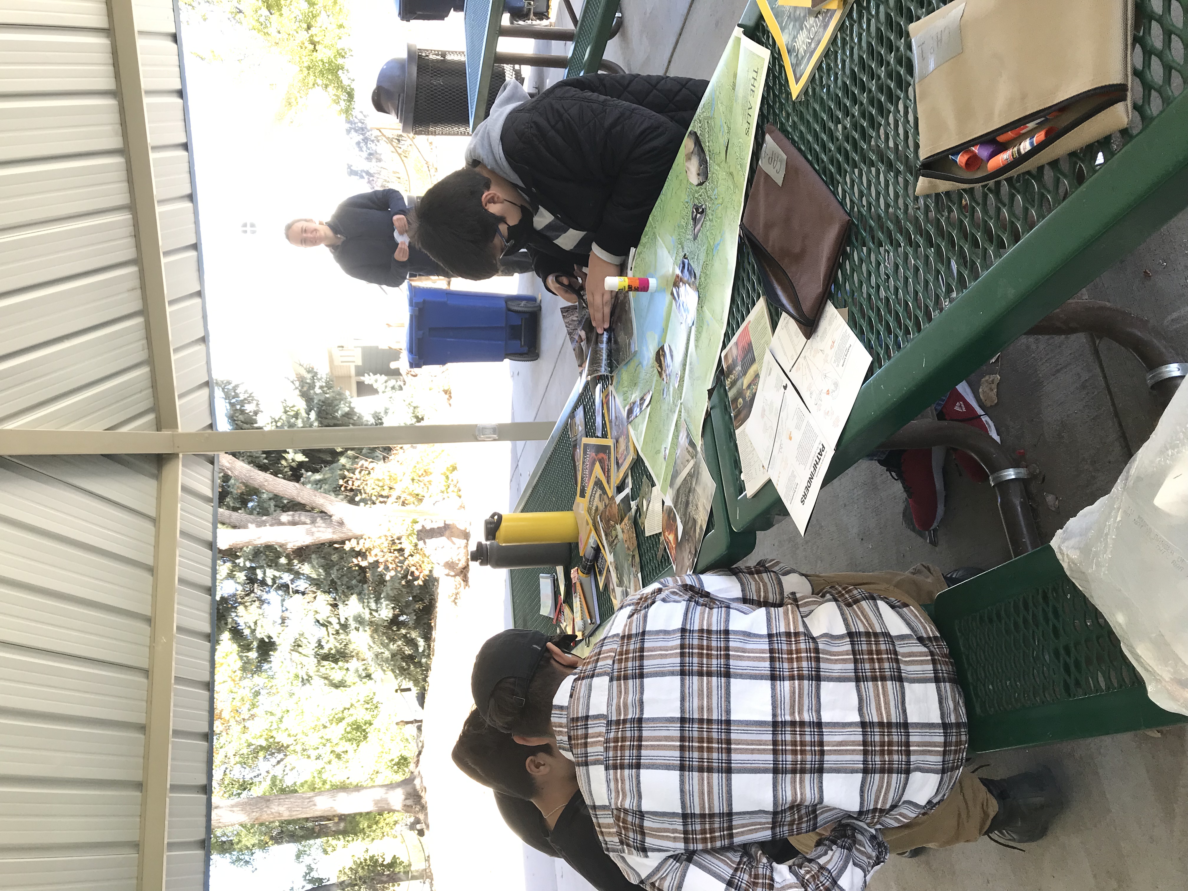 LYC interns make nature collages