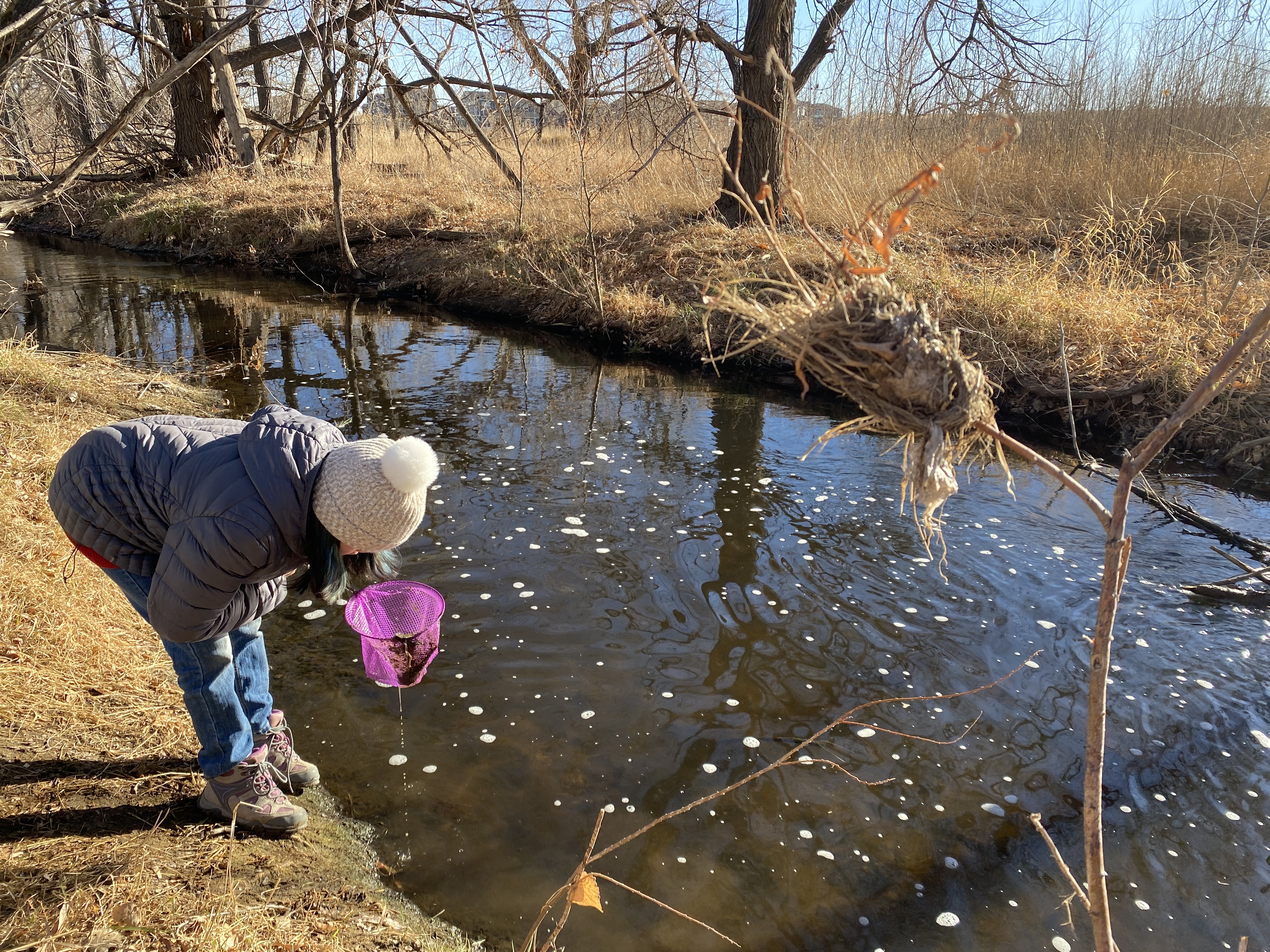 LYC intern tests Coal Creek near Cottonwood Park