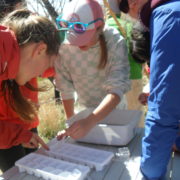 CHS water testing marshall mesa