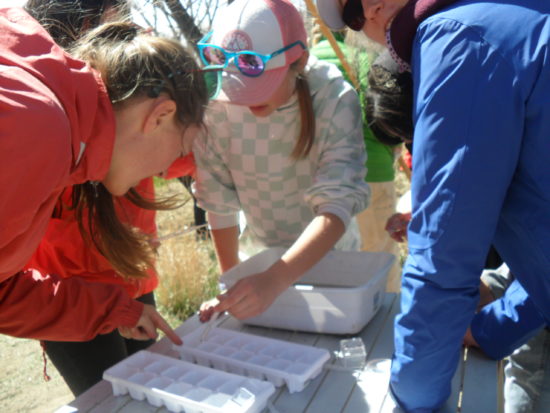 CHS water testing marshall mesa