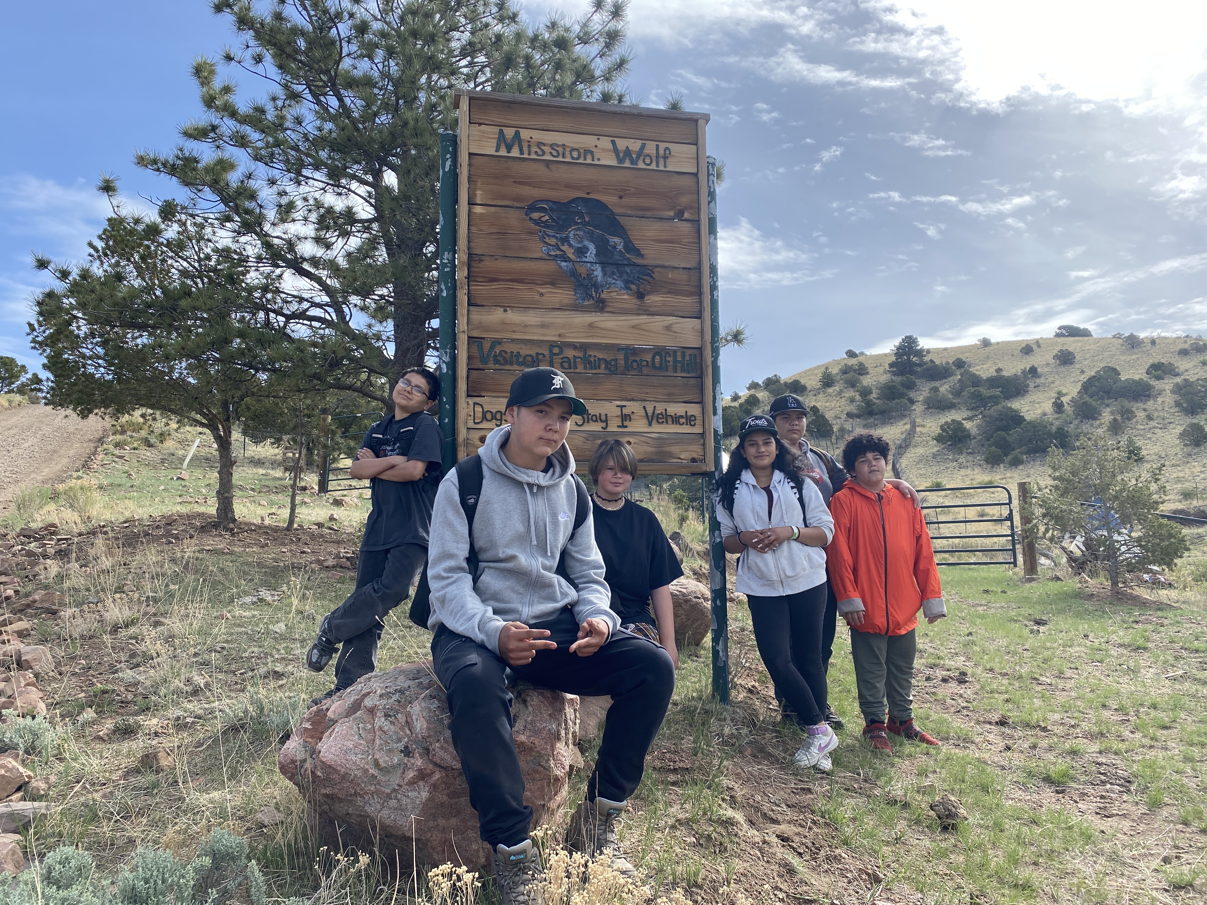 Mission Wolf Sunnyside