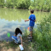 Cobbled Streets field day