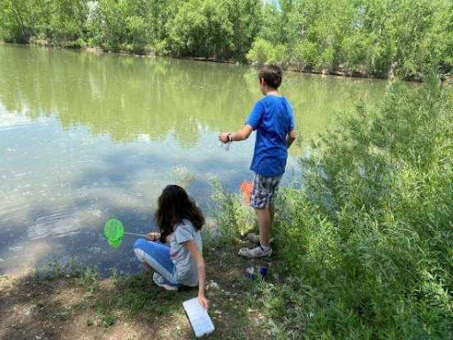 Cobbled Streets field day