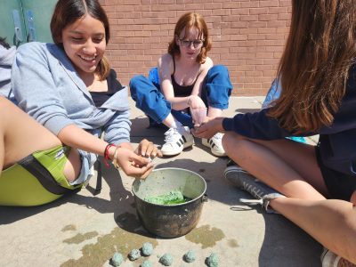Angevine students make seed bombs to support pollinator habitat and local ecosystems.