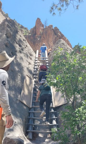 Cottonwood Alumni students climb a ladder to check out a cliffside "hotel" at Bandolier National Monument.
