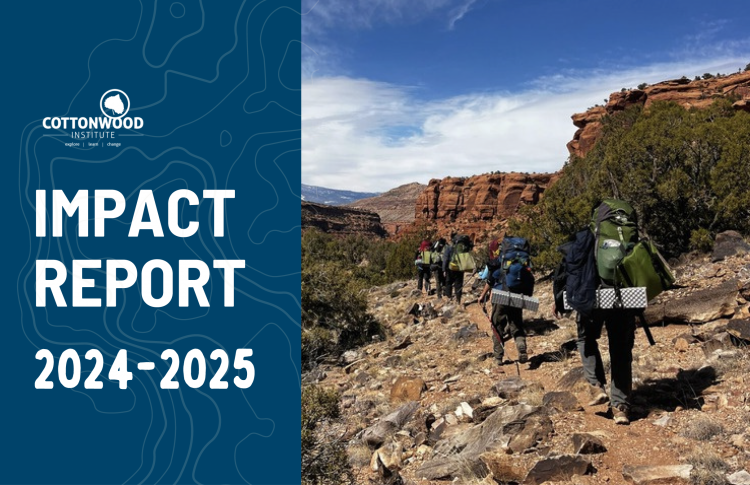 Cottonwood Institute Impact Report 2024-25